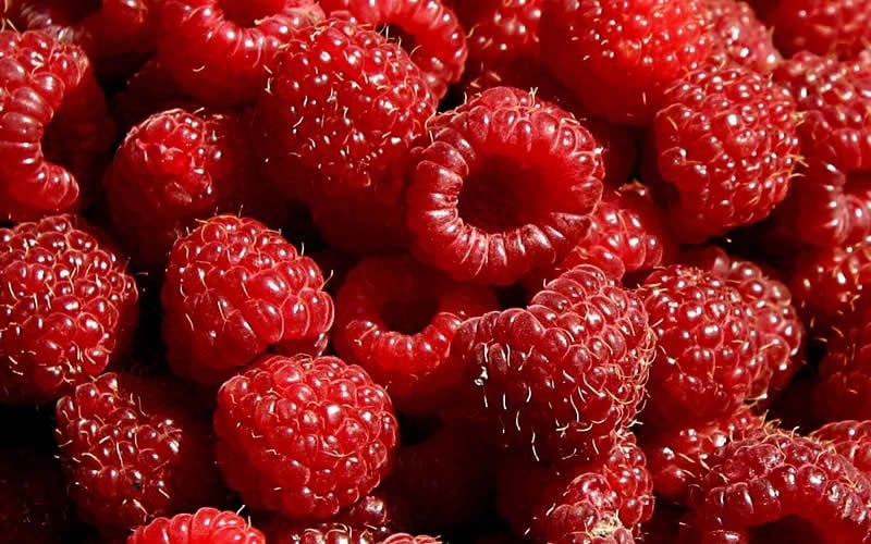  Heritage Raspberry - 6 Pack Of 1 Gallon Pots