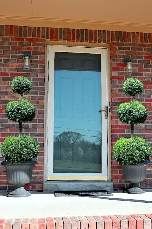  Common Boxwood 3-Ball Poodle Tier Topiary (Buxus Sempervirens) - 5 Gallon Pot