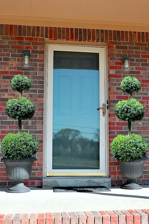  Common Boxwood 3-Ball Poodle Tier Topiary (Buxus Sempervirens) - 7 Gallon Pot
