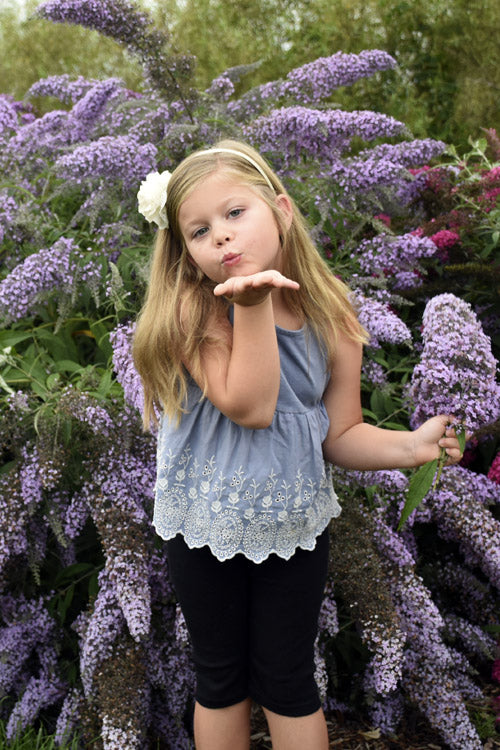  Grand Cascade Butterfly Bush - 3 Gallon Pot