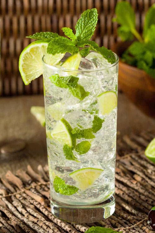  Mojito Mint Plant - 6 Pack Of Pint Pots